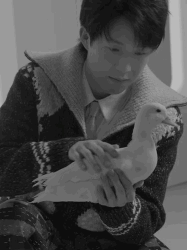 Wallpaper中文版王楚钦封面和小动物🦆🦜好可爱[期待] ​​​