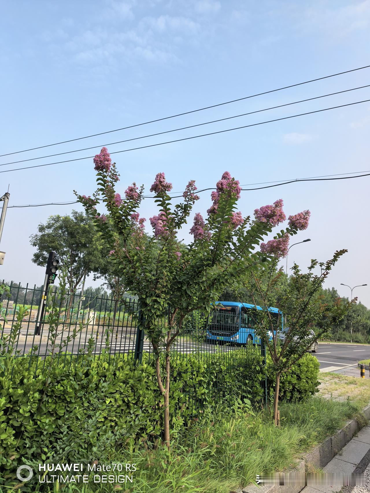 只打新股，不买新股

长鑫科技于今日上市，发行价8.66元，收盘于每股49元，涨