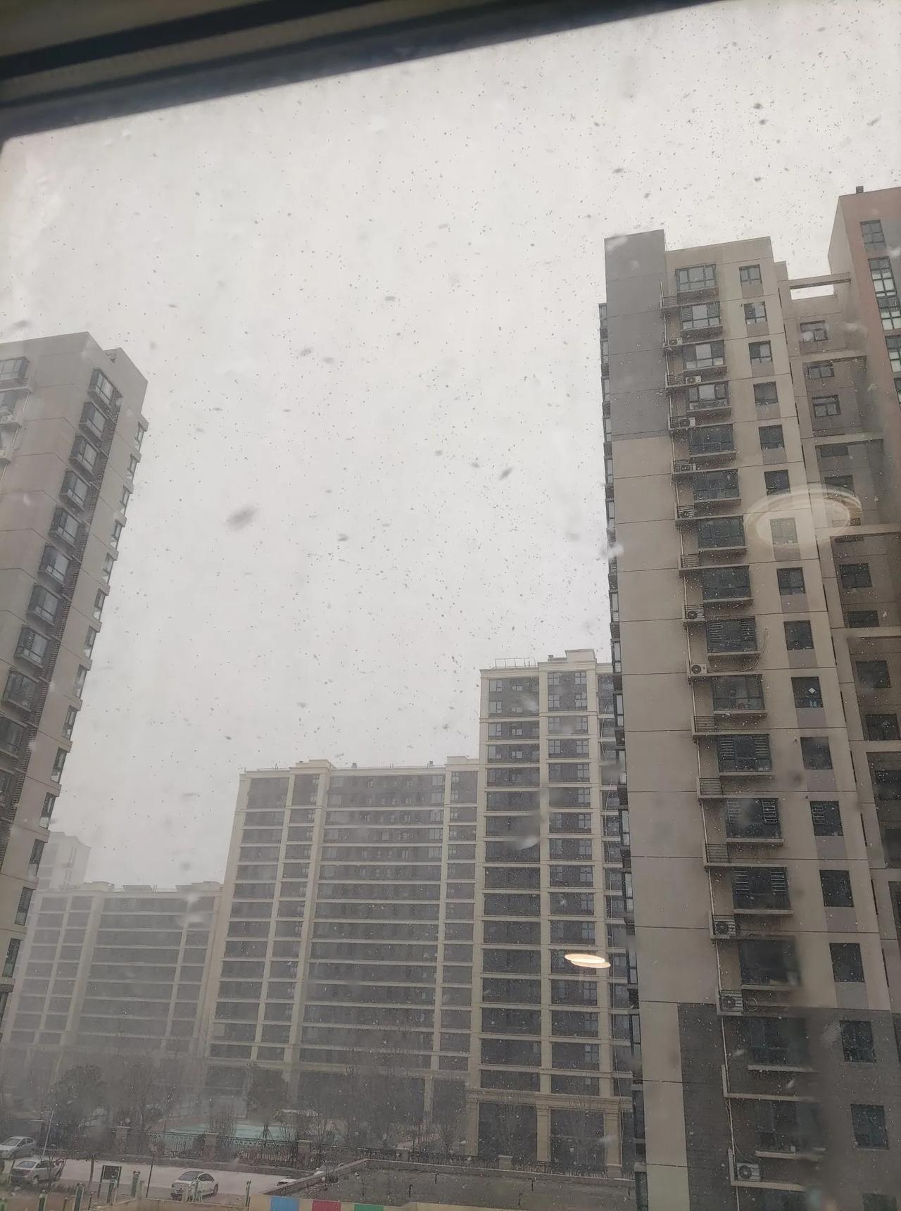 烟台这天气，这几天是报着降温阴天，但也没说下雪呀。[捂脸]
早上虽然有点冷但也阳