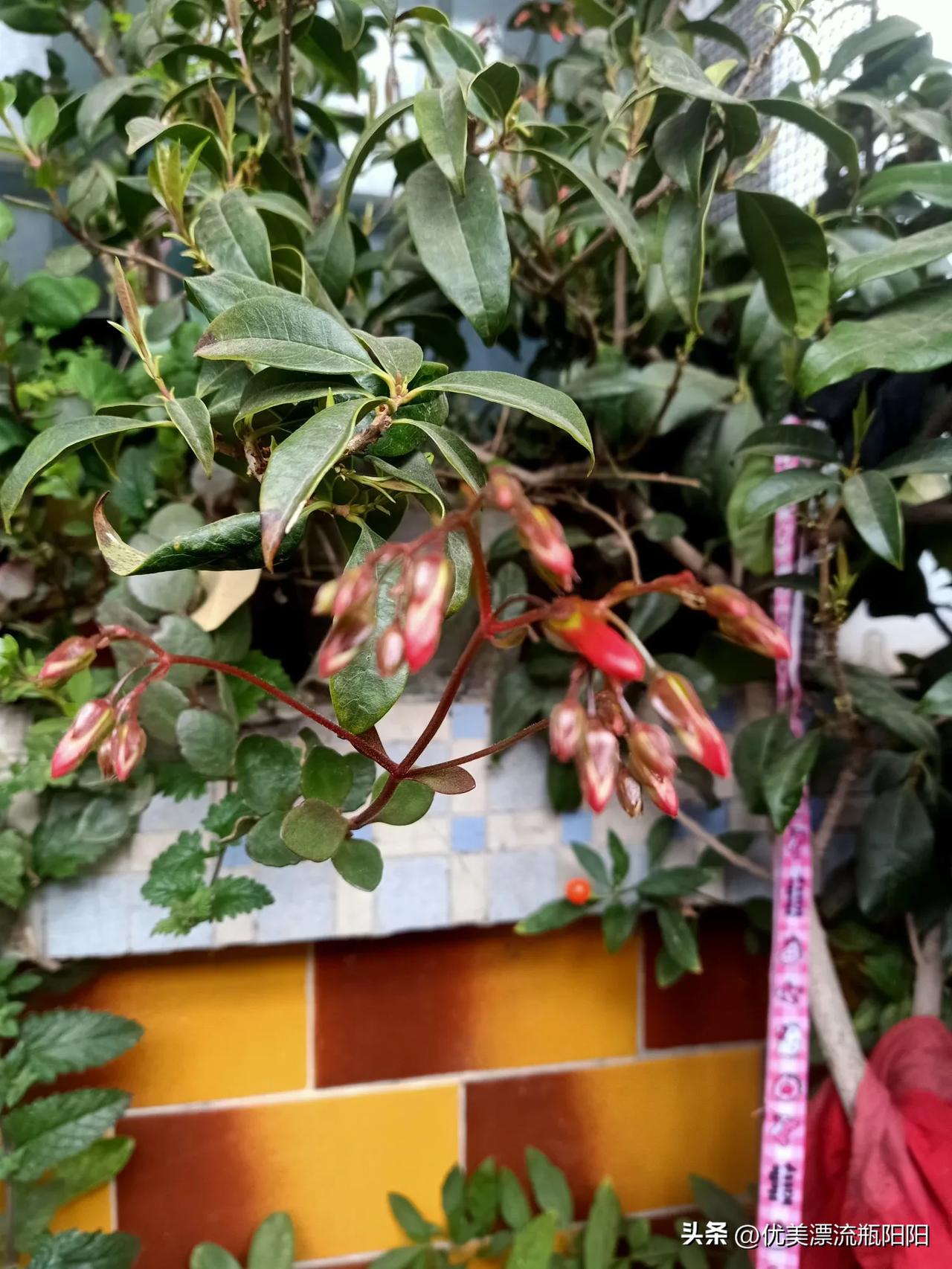 今天是个好日子，春回大地，万物复苏，好雨知时节，当春乃发生，春雨贵如油，今天春雨