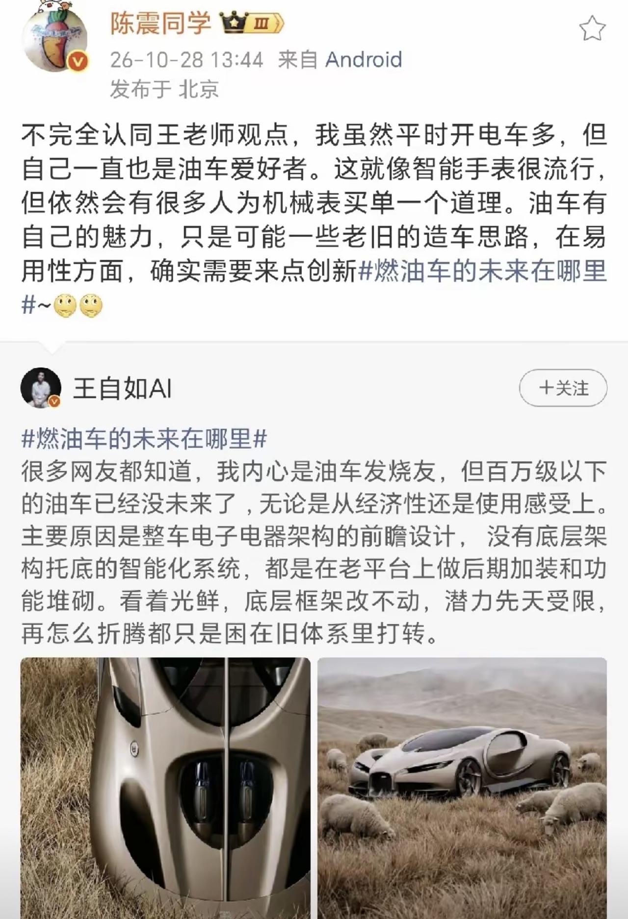 其实陈震这样说，不就说明了王自如的看法是对的。
王自如说以后百万级以下的燃油车是