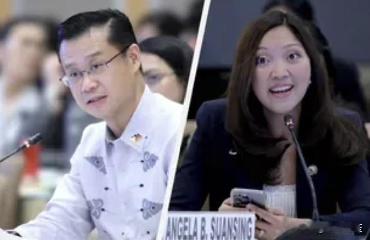 经过菲律宾上下议院四天的密集审议，2026年国家预算首次公开两院协调委员会会议于