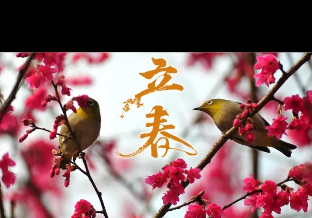 春天来了，你期待吗？