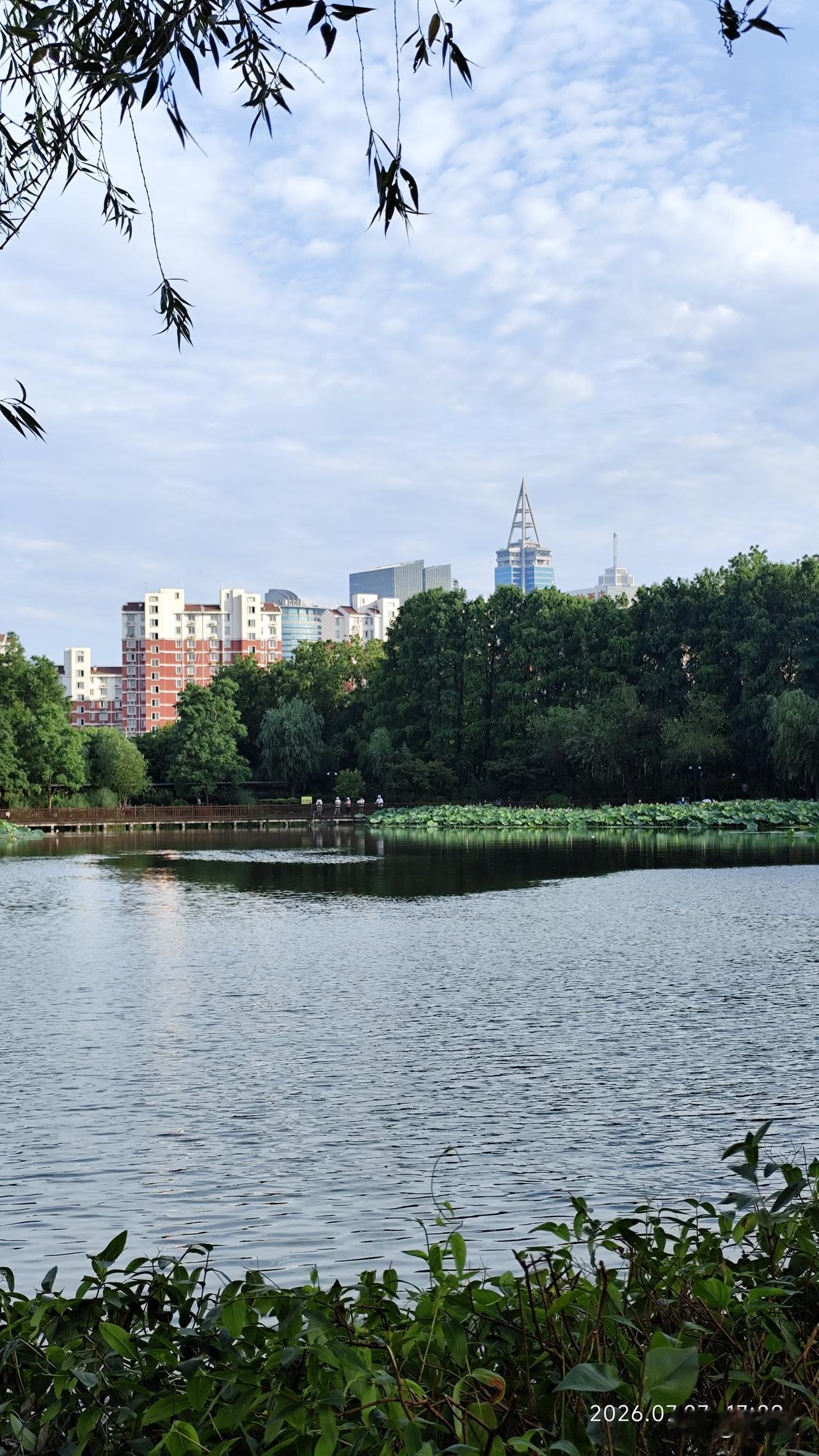 夏日生活打卡季夏日公园看美景