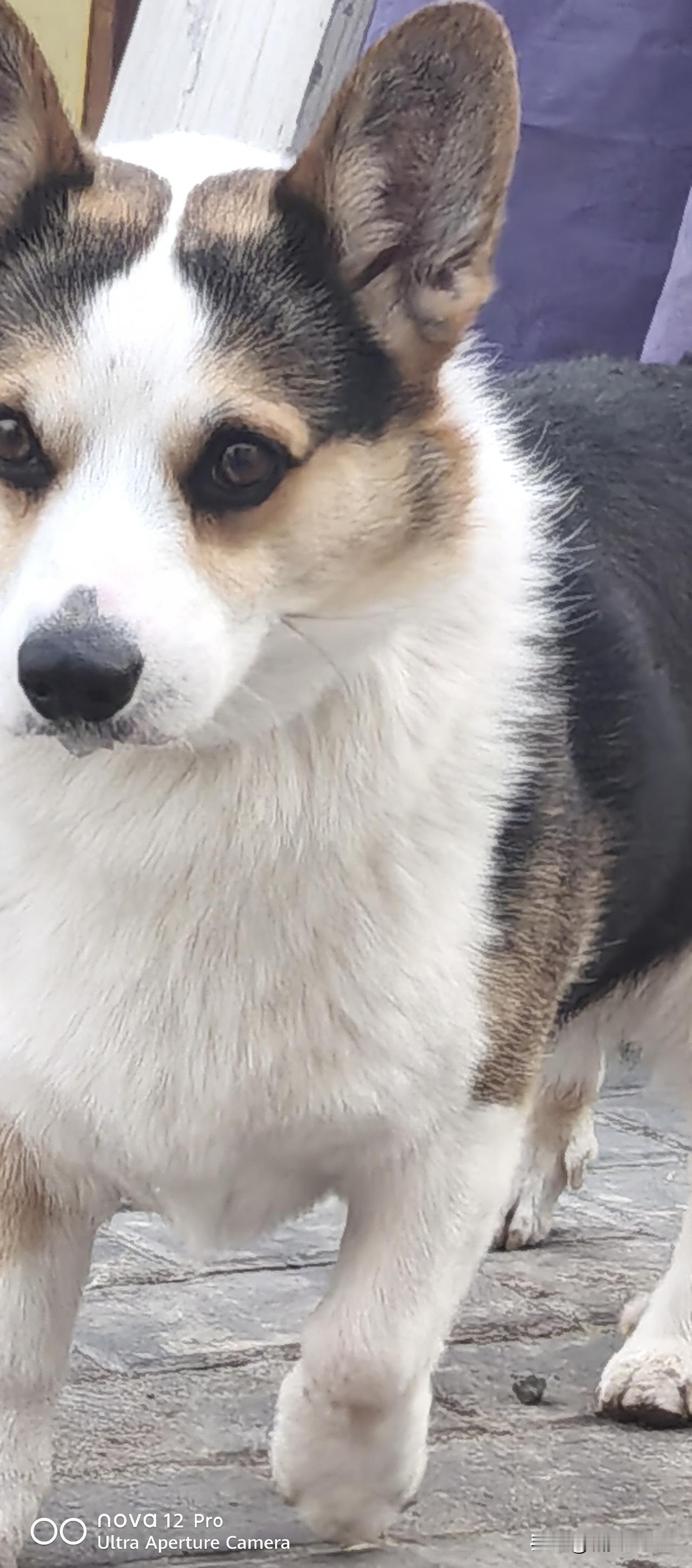 上联：粗茶淡饭心自在，诚邀下联简单朴实随心意。