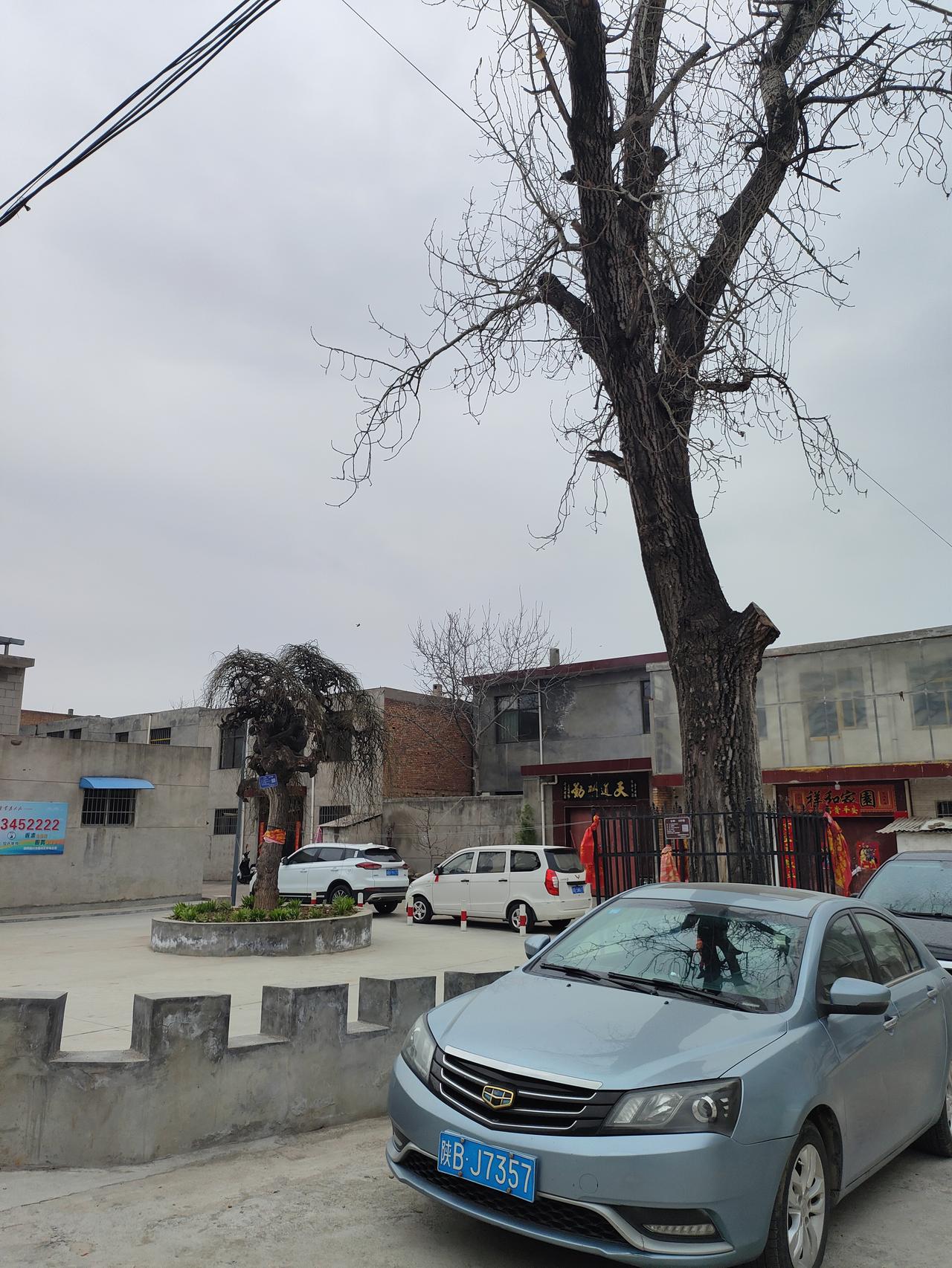 灰扑扑的院子里停着几辆代步车，
这就是北方乡村最踏实的模样——
不慌不忙，静等春