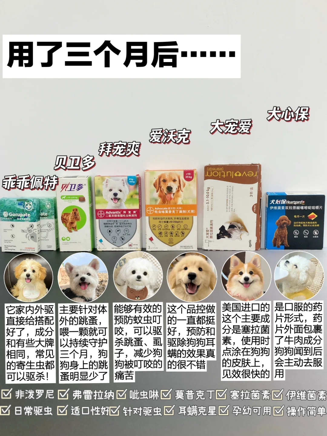 拒绝智商税！性价比高的狗狗驱虫个比个顶！
