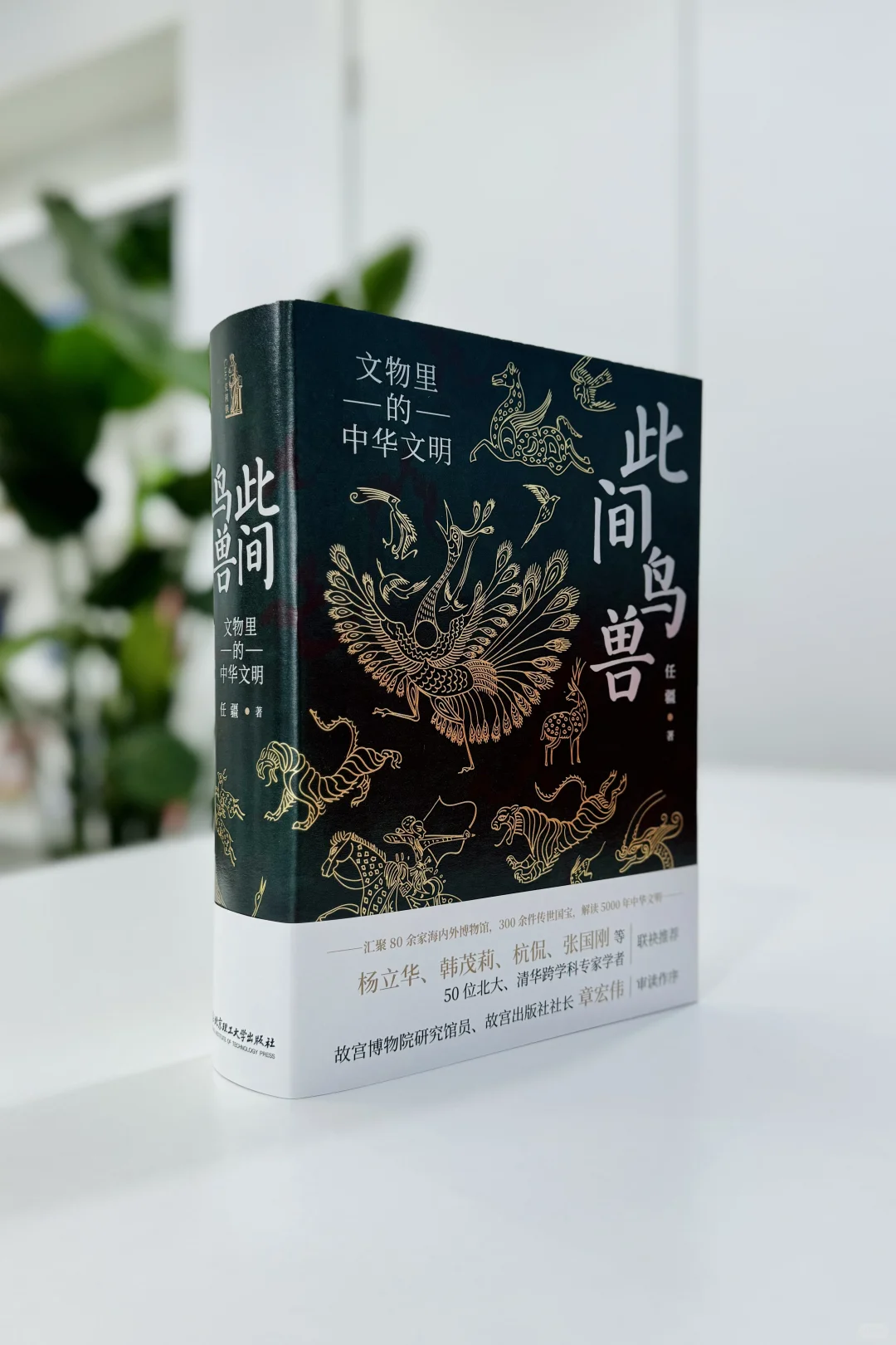 期待好久的书终于开启预售了，太快乐了！