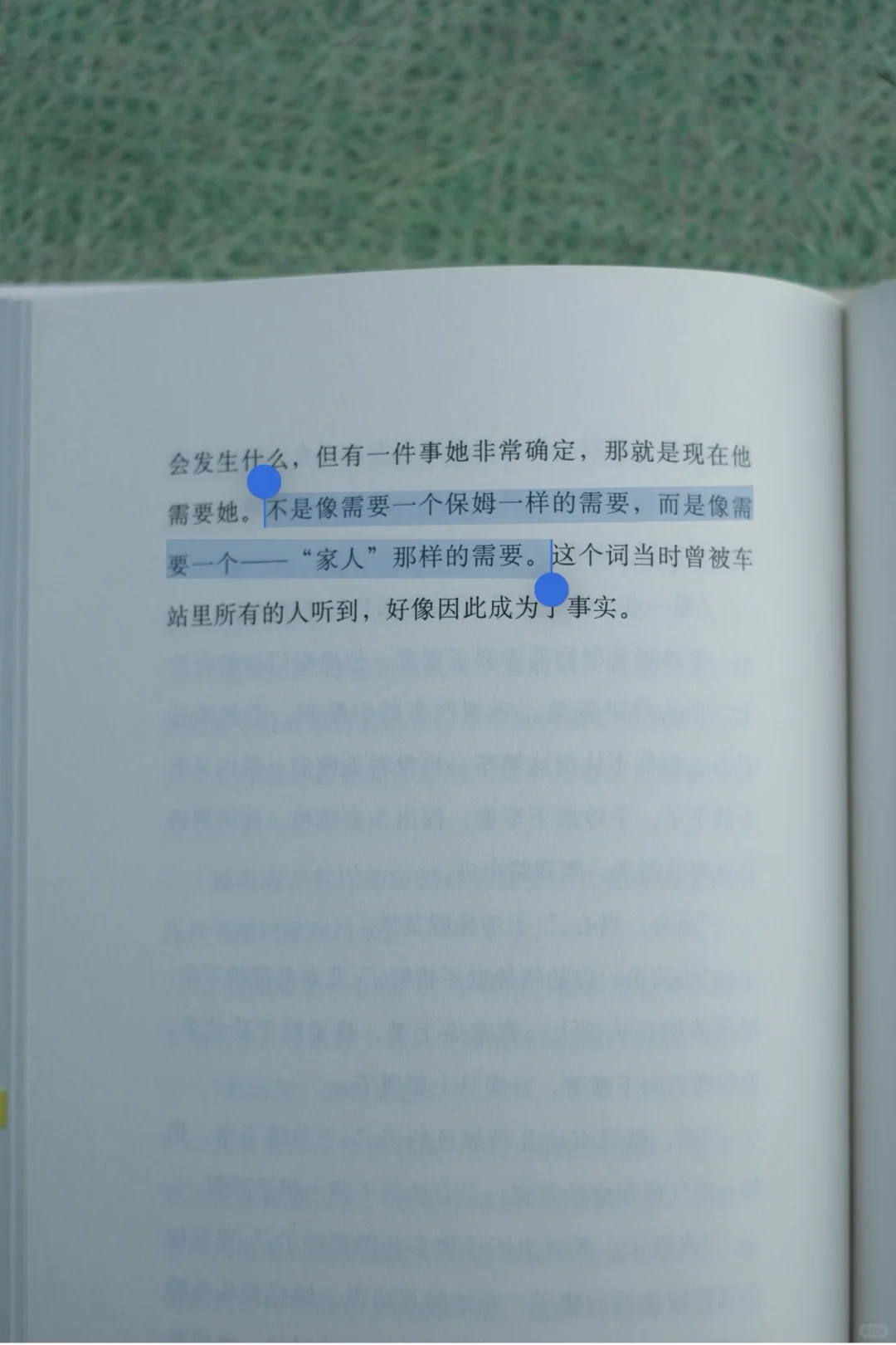 阅读笔记｜天鹅旅馆里的女人们🦢