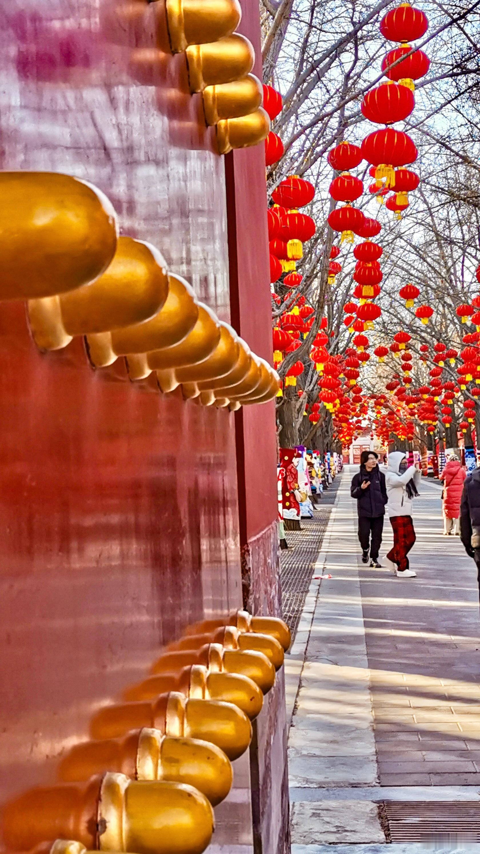 【地坛】彩缕妆寒木，丹灯照古垣。地坛新岁暖，笑语怡春暄。摄影