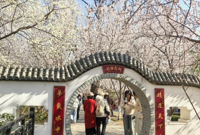 走在天津的街头，春风轻轻拂过脸颊，满眼都是新绿与花香。看着枝头绽放的花苞和城市里