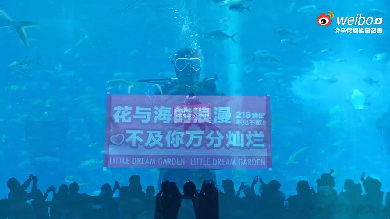 半亩花田太霸气了，为迪丽热巴打造海陆空应援，海和空的应援视频让人仿佛置身浪漫仙境