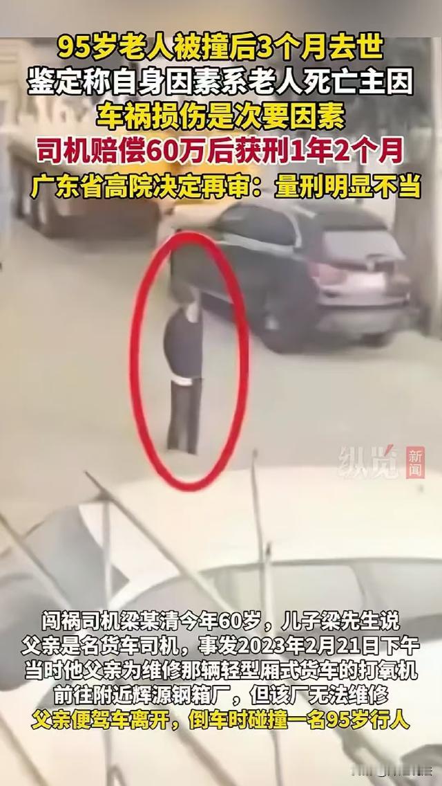 95岁老人车祸后3个月去世，司机赔60万仍被判1年2个月，高院：量刑不当，再审！