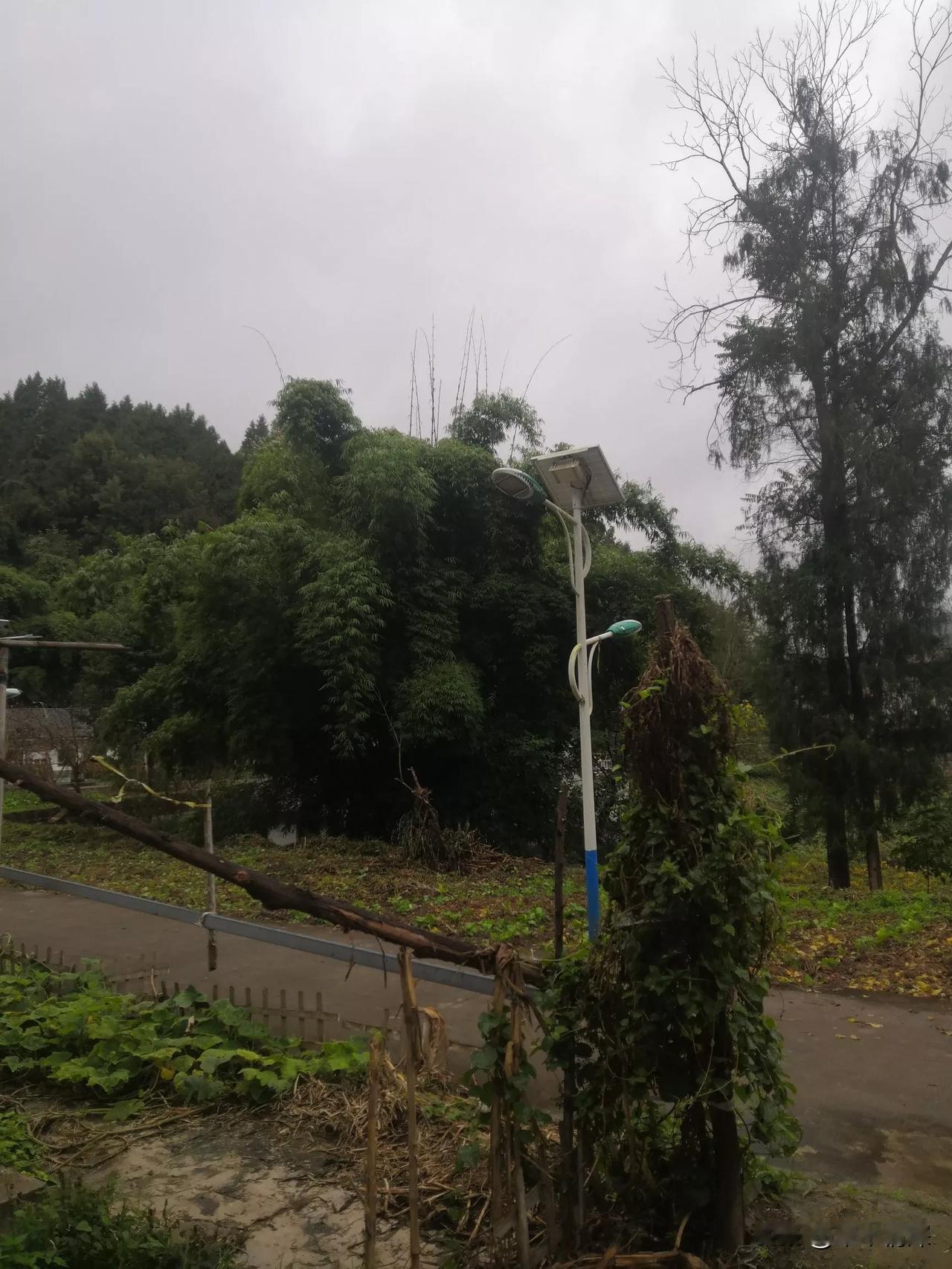 德阳市天气预报，德阳市中江县南部当地，手机报上显示阴天，但现在正在下雨，特别是绵