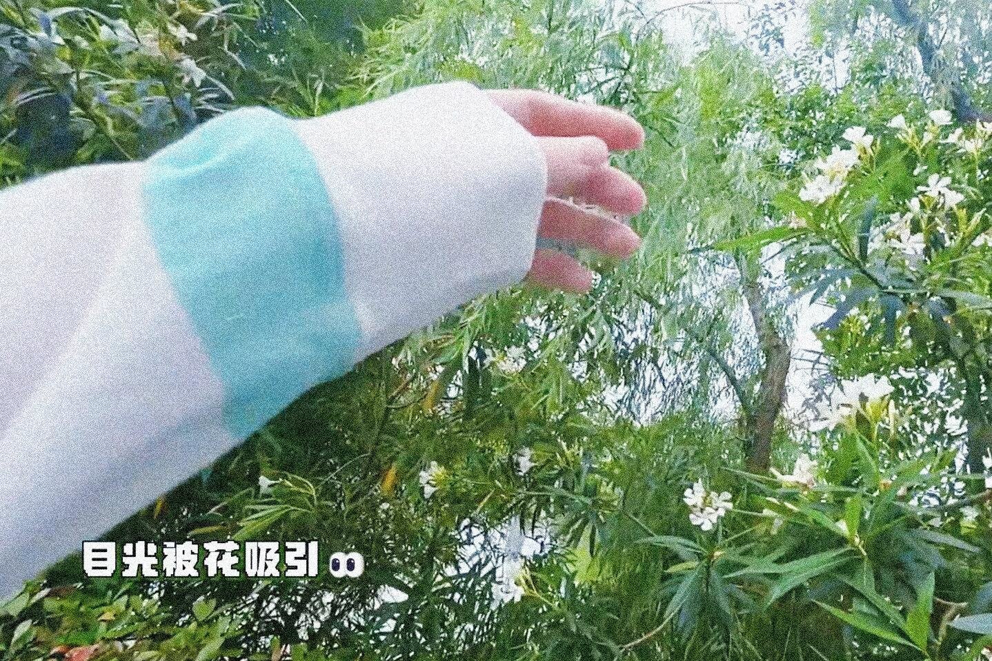 超级喜欢这个视角这和在他怀里看世界有什么区别成毅
