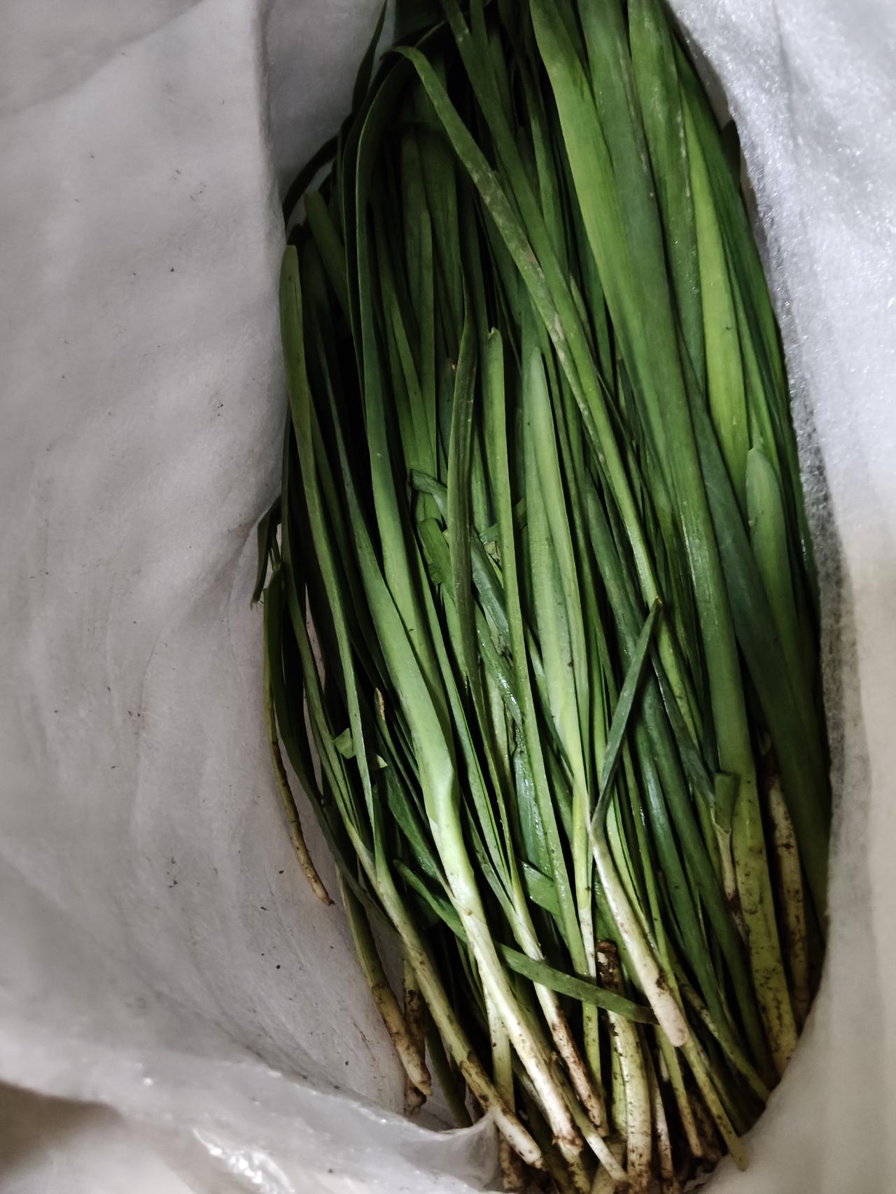 有网友说预制菜其实比现炒菜要吃的放心和安全。

但是我却不同意这样的观点，你是觉