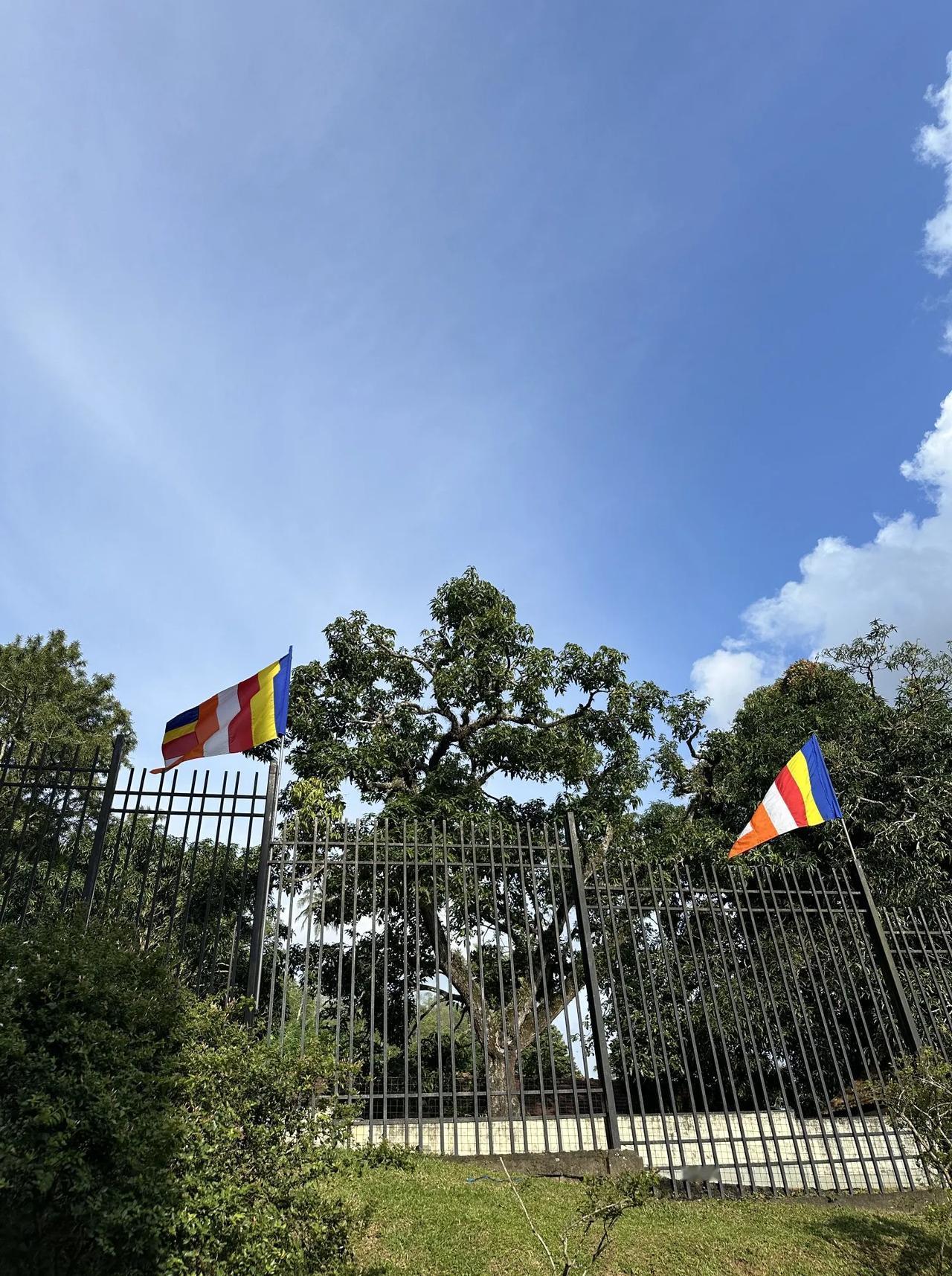 这世上总体还是公平的，你若想得到本不该得到的，就必须要付出本不应付出的。是什么年