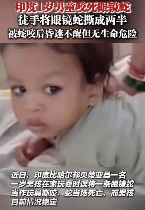 “不愧是印度人！”印度1岁男童玩耍时，眼镜蛇突然闯入家中，男童误把它当作玩具，竟