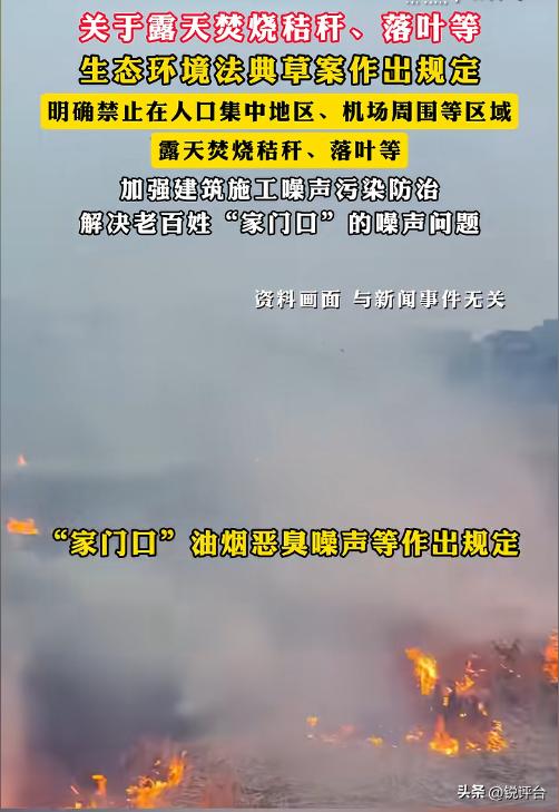 央视暗访5个月！禁烧令下，机场旁仍现秸秆火海，真相太扎心🔥
谁能想到？禁烧令年