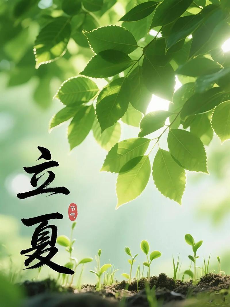 今日立夏，风暖昼长，夏意初盛🌿
 今日立夏，风里终于有了夏天的味道。
告别了春