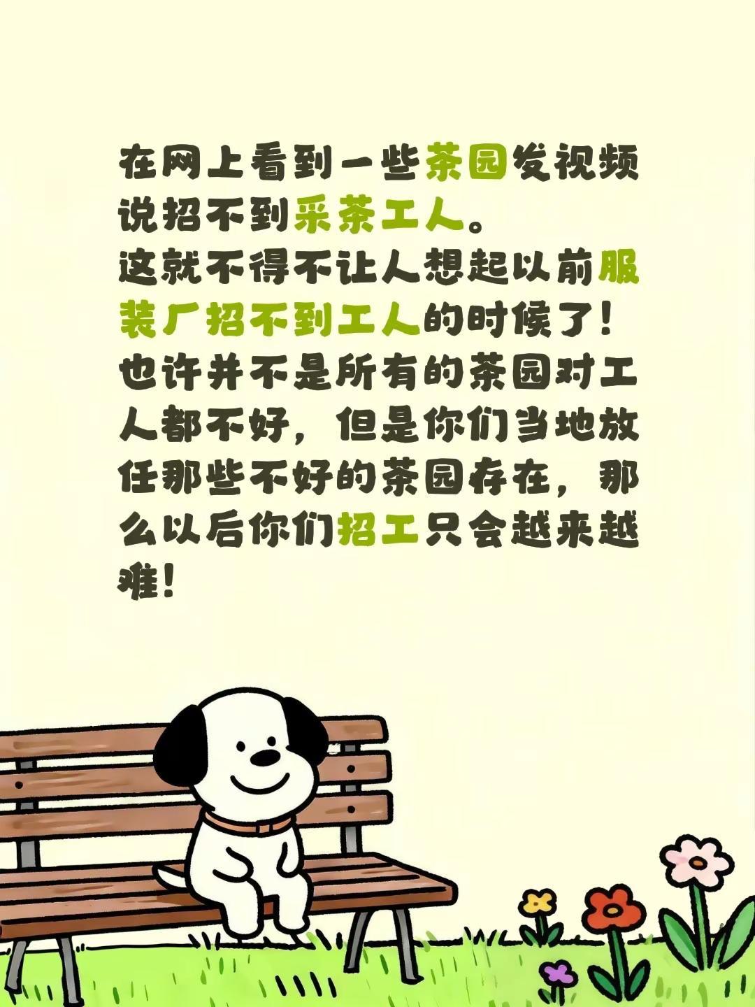 在网上看到一些茶园发视频说招不到采茶工人。这就不得不让人想起以前服装厂招不到工人