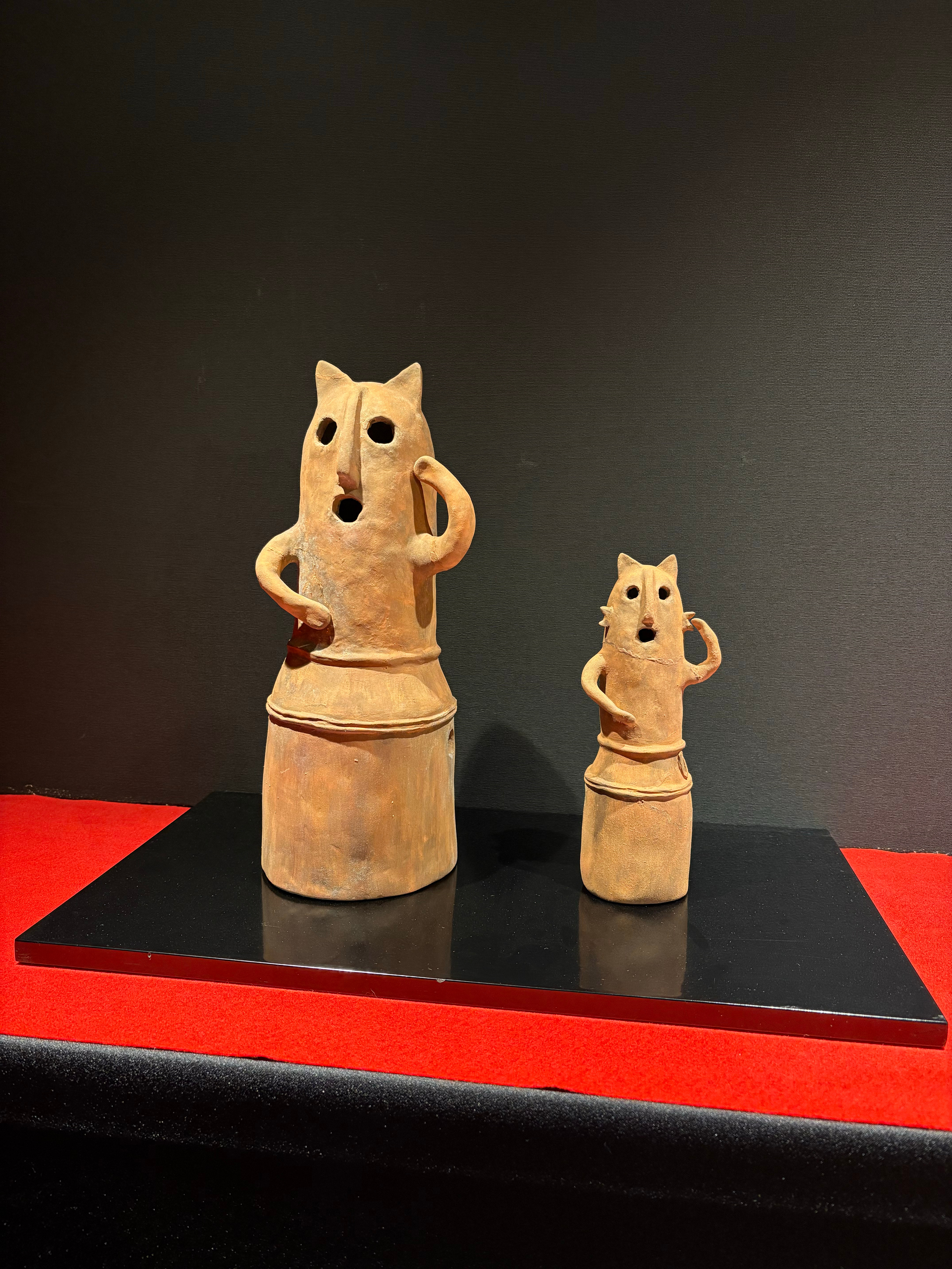 在猫猫寺许愿所有小猫健健康康！ ​​​