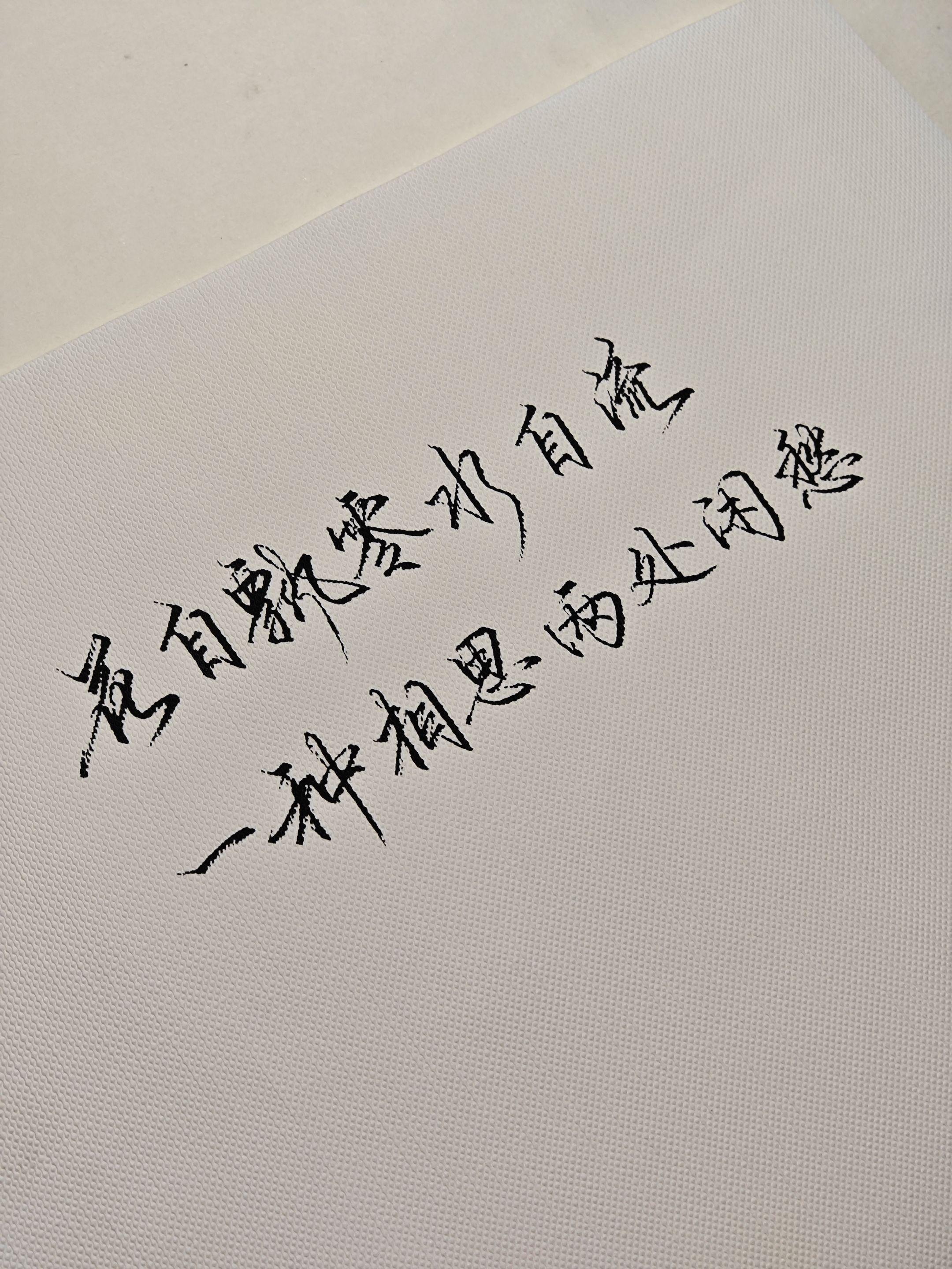 “白茶清欢无别事，我在等风也等你。”