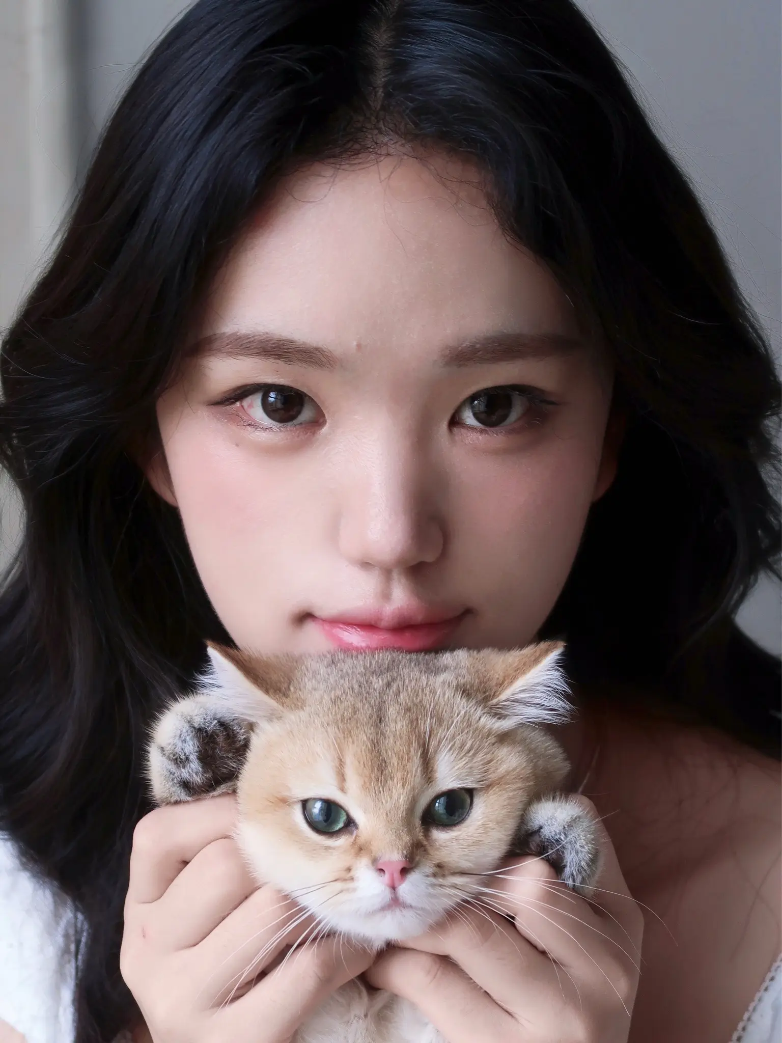 小猫只是一个爱你的笨蛋🐾。