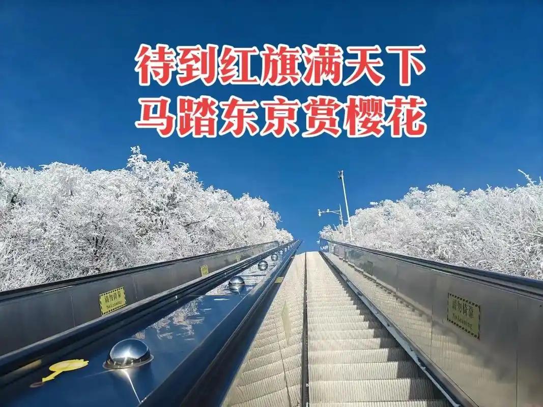 作为一个80后，我自认是亲日的一代。正因如此，我对日本社会与民众怀有深切的理解与