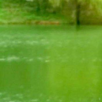 在河边走走停停，感受微风拂面，欣赏着河边的音乐喷泉，惬意无限 