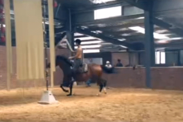 #此沙泥土里长出的郭靖具象化#这也太帅了，此沙和郭靖真的是很像啊，这次出演郭靖不