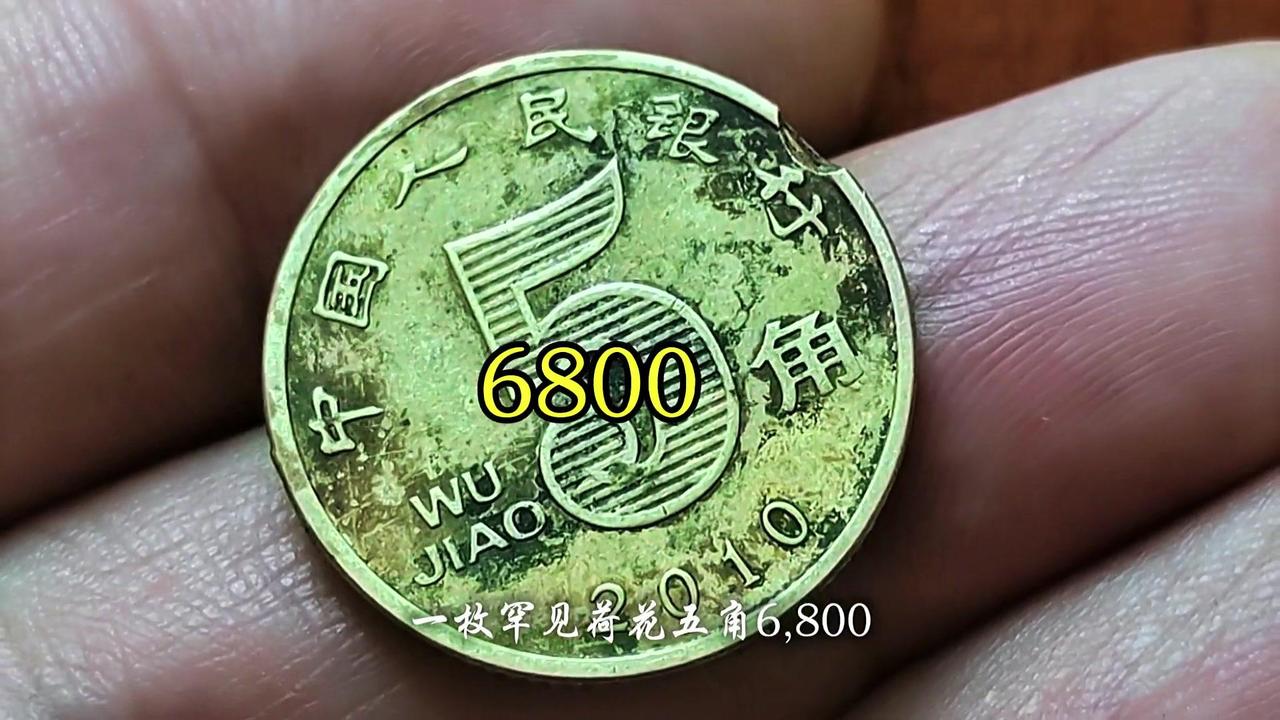 ✨荷花五角藏着6800元？快找找家里的！
💰荷花五角收藏热度一路飙升，金色外观