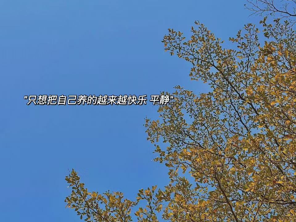 别忧，此刻的美好最值得珍惜，用心感受当下生活 