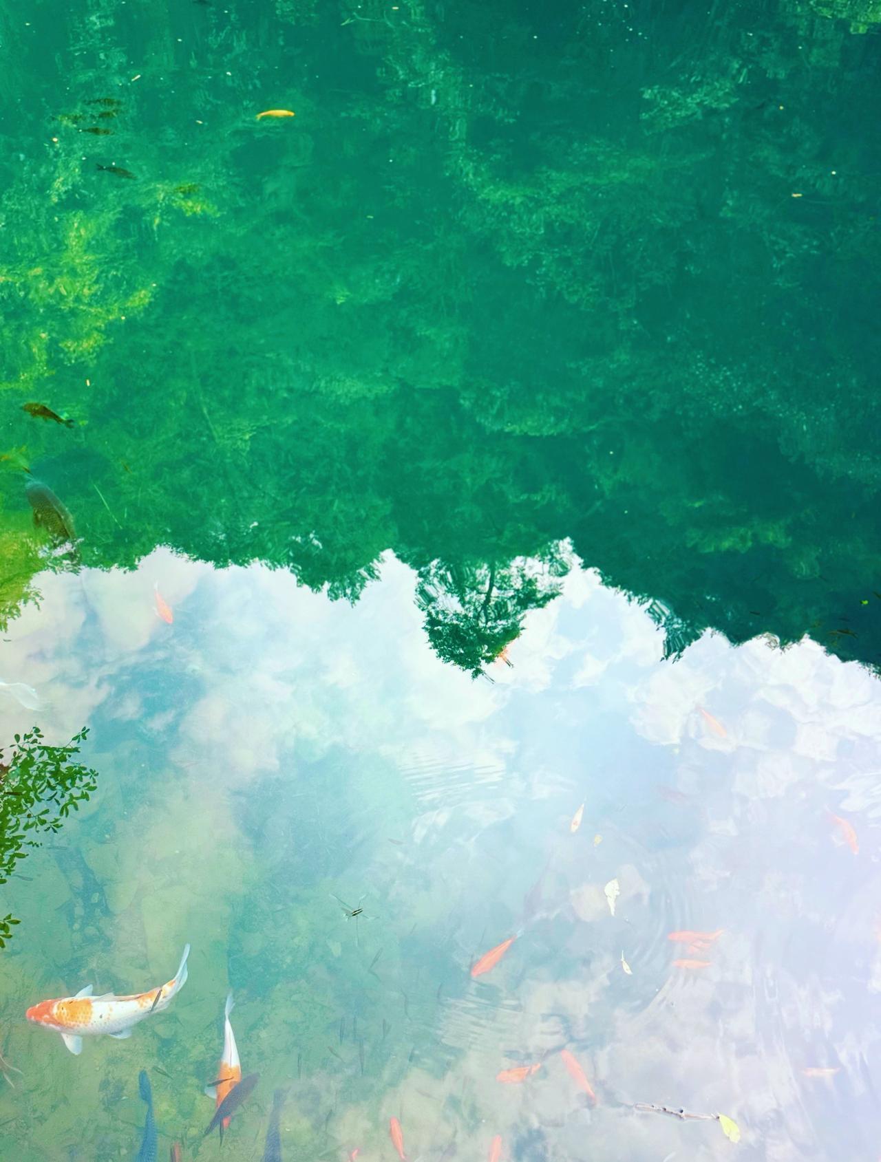 鼓励中小学推行课间15分钟学校里最快乐的时光是什么呢？当然是课间15分钟。想起我