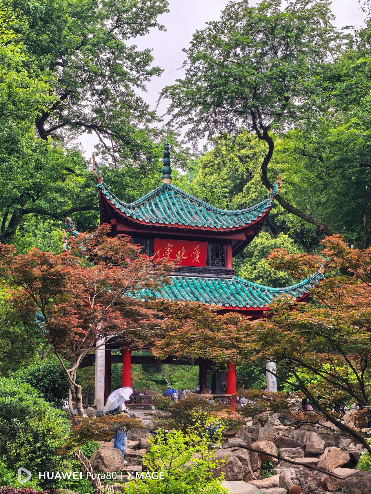 追溯过往，青年时期的毛泽东求学长沙期间，常与有志同仁相聚爱晚亭，读书研讨、畅谈理