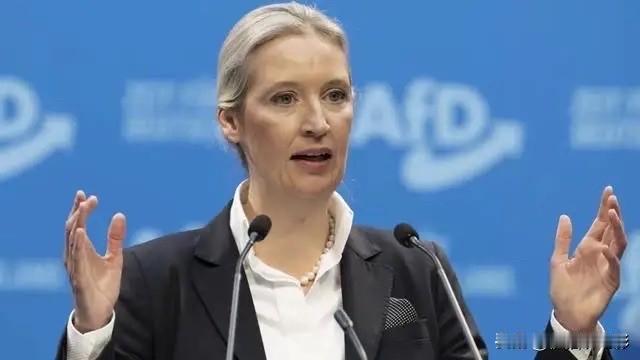 整个欧洲的政客都在排队反华的时候，一个被骂了十年"极右翼疯子"的德国女人，站出来