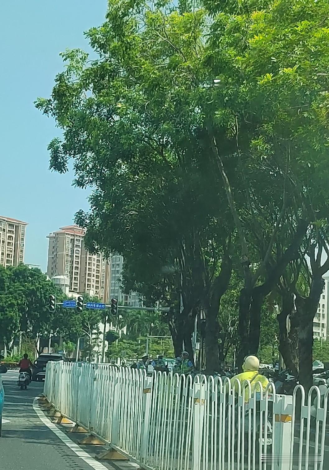 在湛江市人民大道靠近银海酒店的位置，这里是市民开电动车从霞山区经人民大道前往赤坎