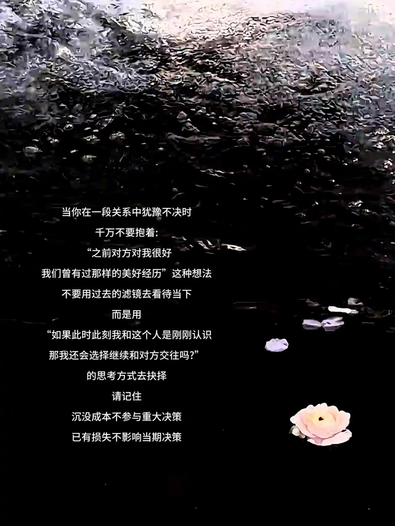 “别让余生为一时的美好买单” 