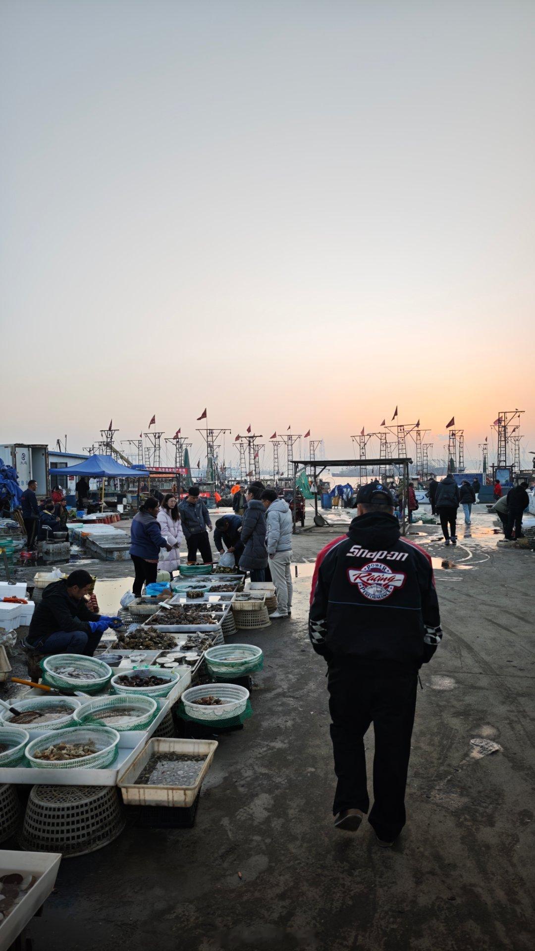 跟着曲妓逛海鲜市场大连·辽渔集团基地港大连湾渔港