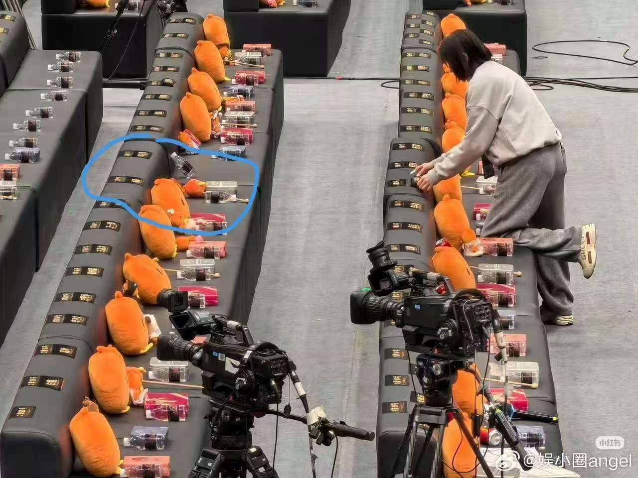 辛芷蕾杨幂双c辛芷蕾杨幂c位辛芷蕾杨幂c位 可以的 