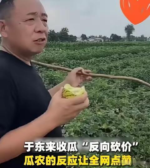看到于东来收甜瓜那段视频，心里真不是滋味。农户开口报价五毛，其实心里也没底，甚至