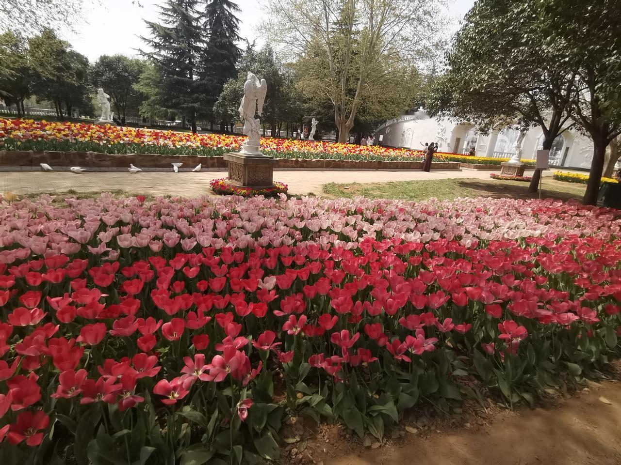 分享高考志愿填报经验 分享高考志愿填报经验在公办大专与民办本科之间该如何抉择？简