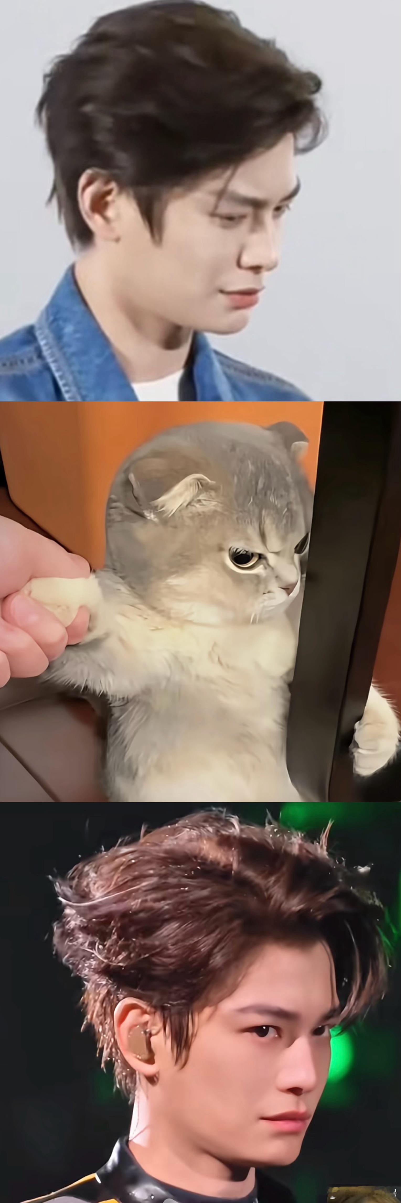 又想起小猫生气的表情包鹅鹅鹅鹅鹅鹅鹅鹅鹅丁禹兮[超话] ​​​