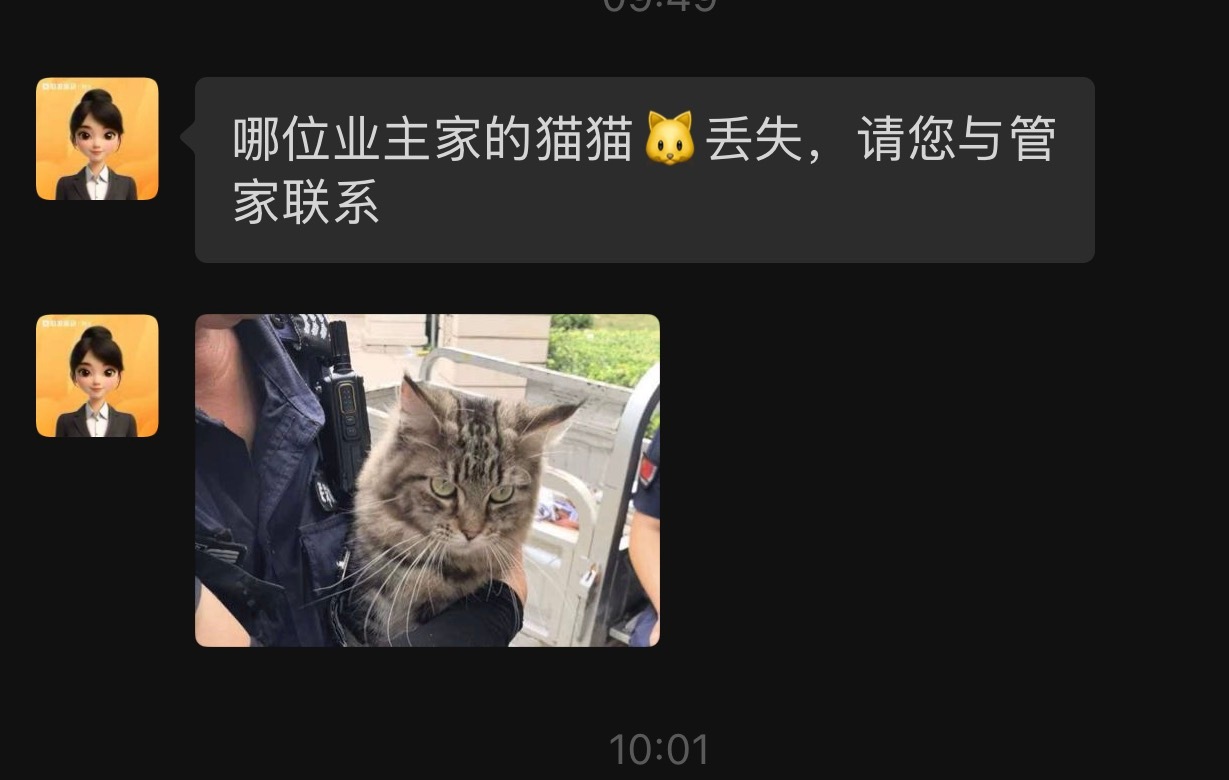 我就觉得我家物业挺好🤣🤣🤣这猫看着非常桀骜不驯啊  ​​​