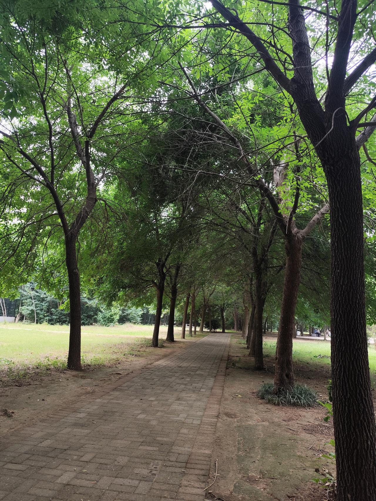 迷路了，今天心情糟糕透顶。我终于下定决心，不去那家公司上班。这并非我过于矫情，只