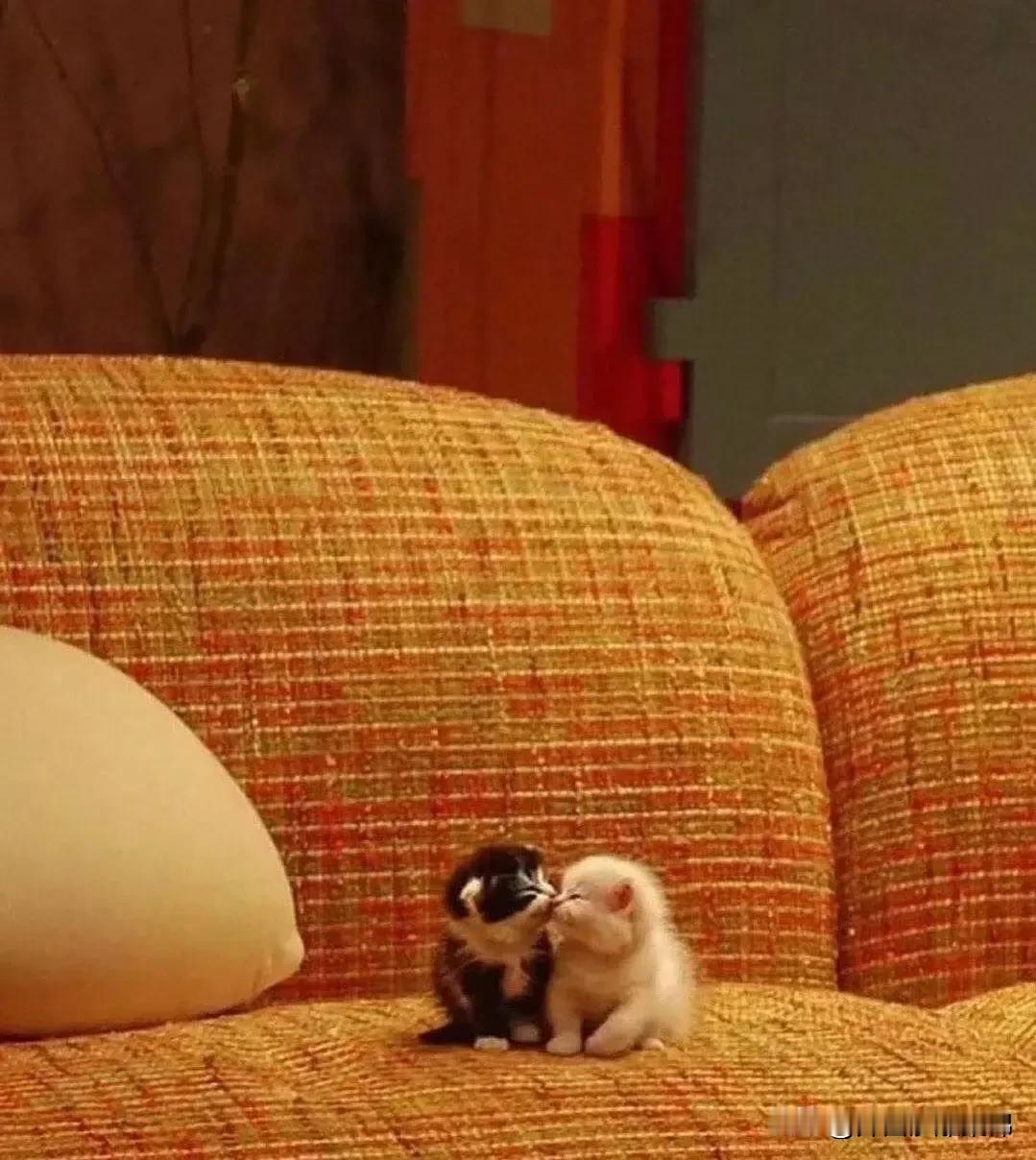 青梅竹马[送心]两小无猜