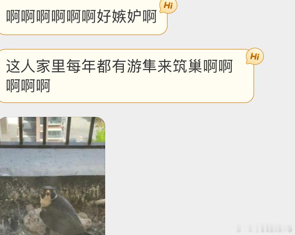 城市里的游隼特别喜欢在高层附近筑巢运气好就能跟野生动物做邻居！[开学季] ​​​