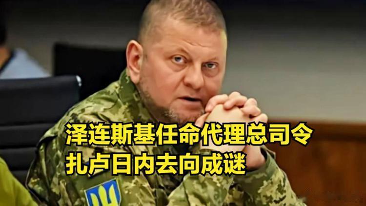 话说，已经很久没看到乌军总司令扎卢日内在公开场合露面了。死了吗？#超能新星汇##