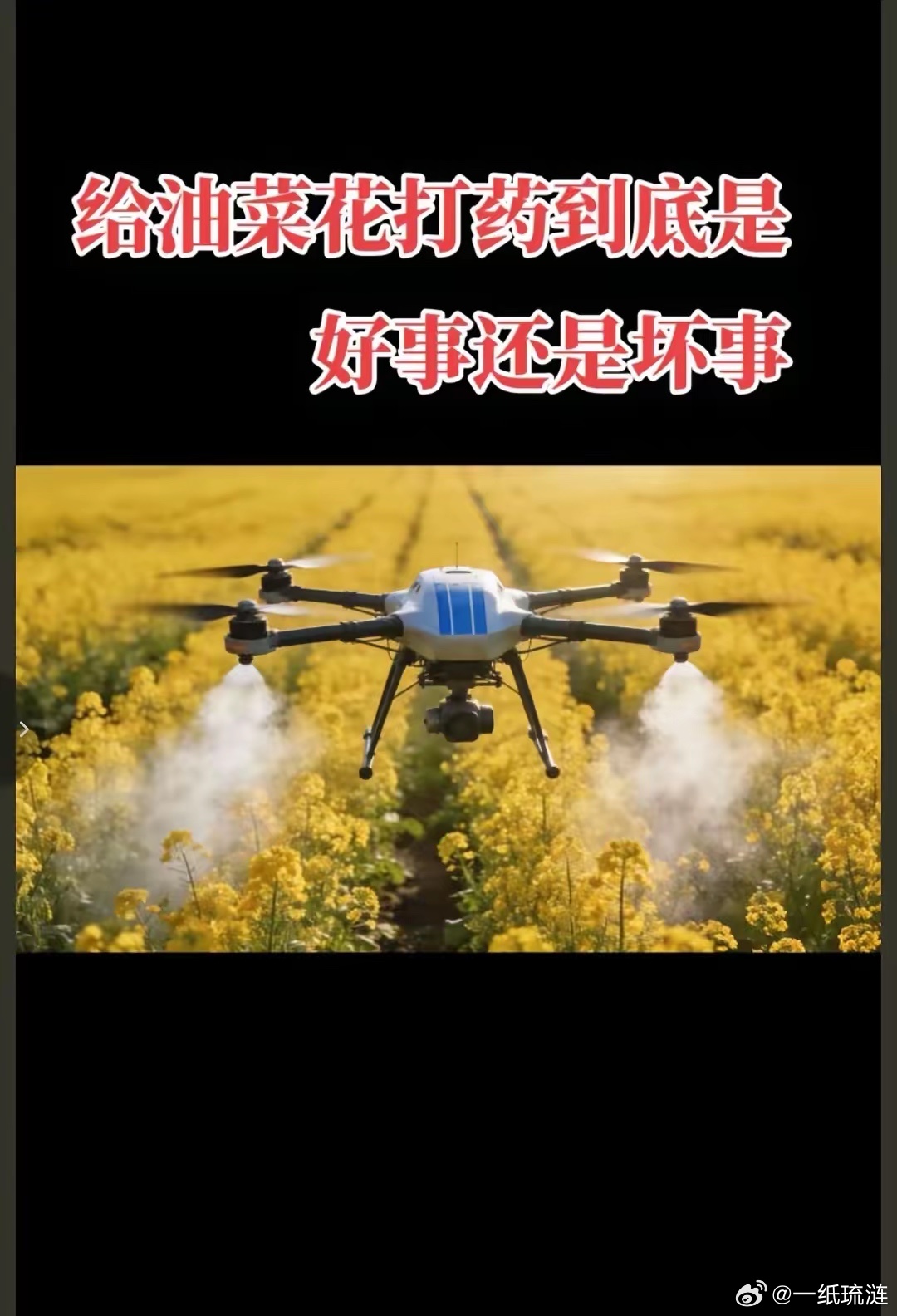 我第一感觉就是金某鱼去年被搞臭了后不甘心开始祸害菜籽油，逼着大家吃它家的大豆油，