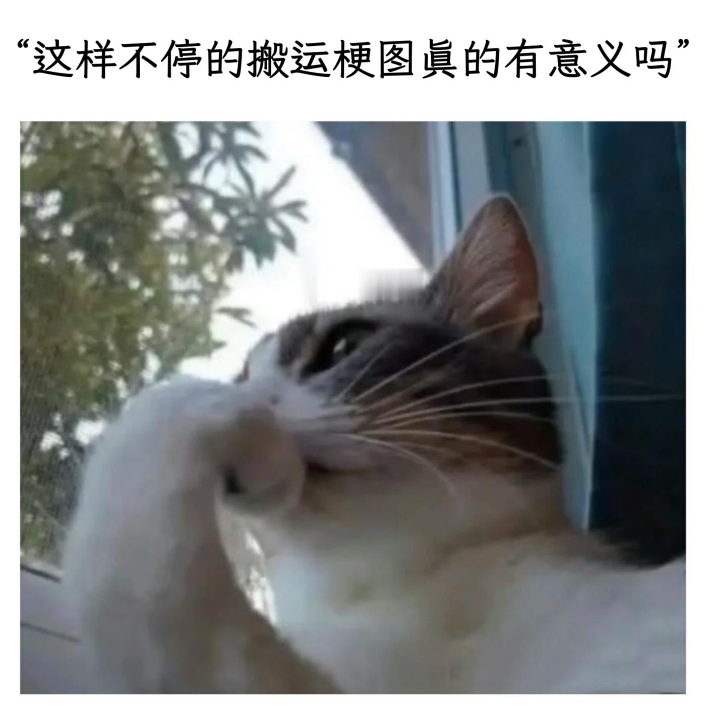 总有人会喜欢吧memes